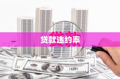 琼结贷款违约率