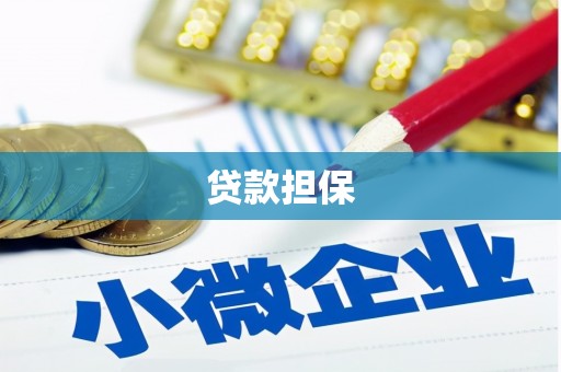 琼结贷款担保