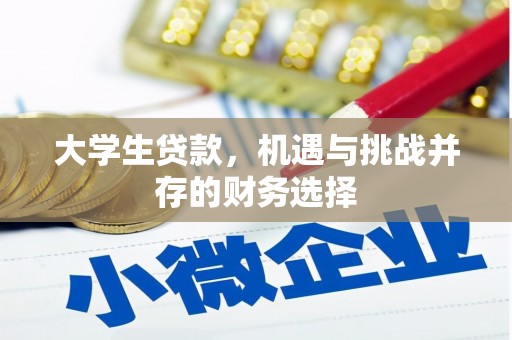 琼结大学生贷款，机遇与挑战并存的财务选择