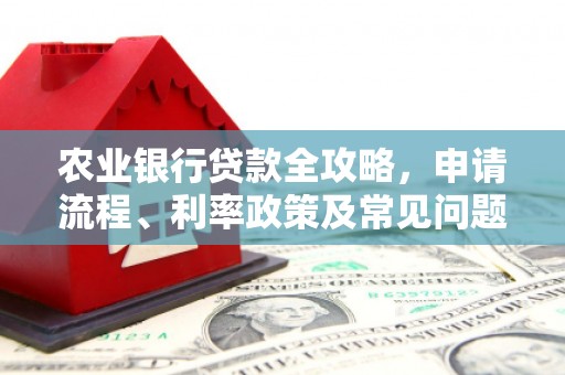 琼结农业银行贷款全攻略，申请流程、利率政策及常见问题解析