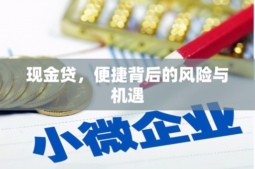 琼结现金贷，便捷背后的风险与机遇