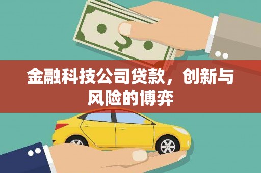 琼结金融科技公司贷款，创新与风险的博弈