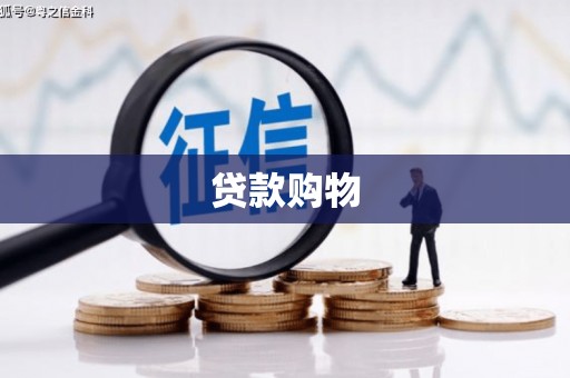 琼结贷款购物