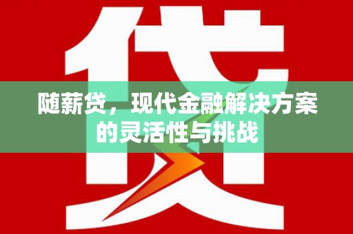 琼结随薪贷，现代金融解决方案的灵活性与挑战