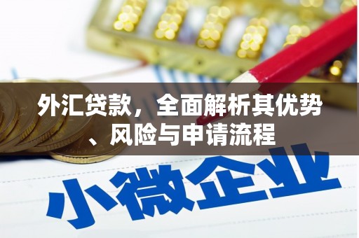 琼结外汇贷款，全面解析其优势、风险与申请流程