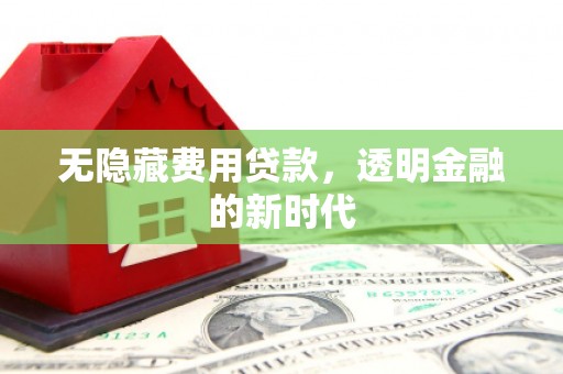 琼结无隐藏费用贷款，透明金融的新时代