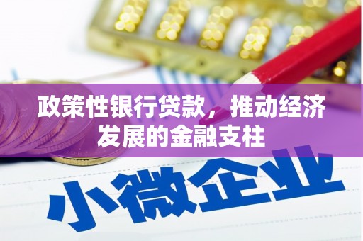 琼结政策性银行贷款，推动经济发展的金融支柱