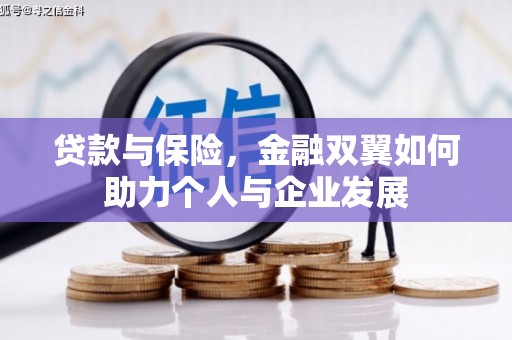 琼结贷款与保险，金融双翼如何助力个人与企业发展