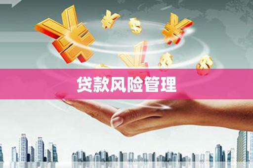 琼结贷款风险管理