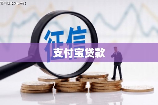 琼结支付宝贷款
