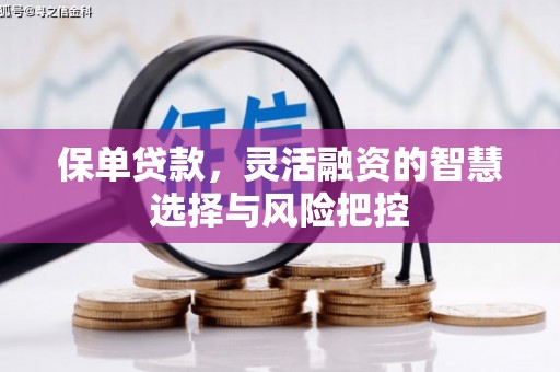 琼结保单贷款，灵活融资的智慧选择与风险把控