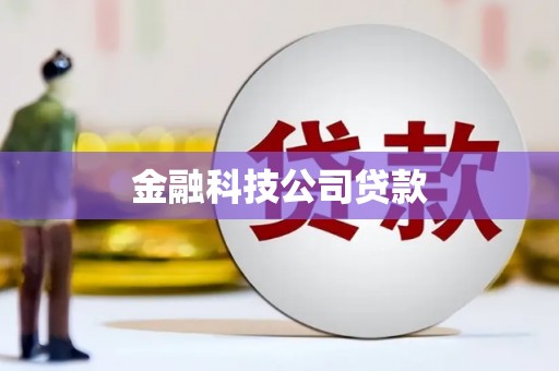 琼结金融科技公司贷款