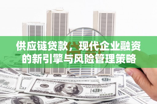 琼结供应链贷款，现代企业融资的新引擎与风险管理策略