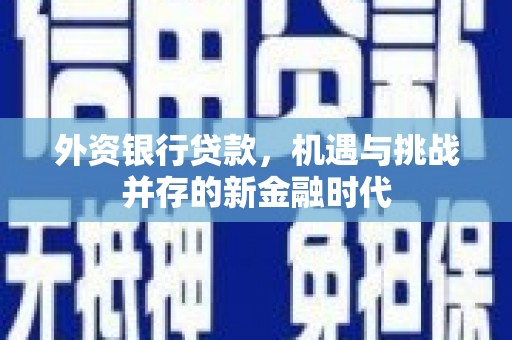 琼结外资银行贷款，机遇与挑战并存的新金融时代