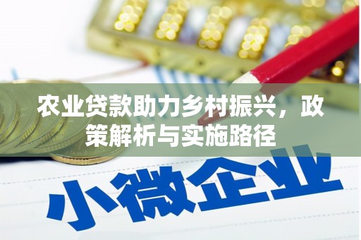 琼结农业贷款助力乡村振兴，政策解析与实施路径