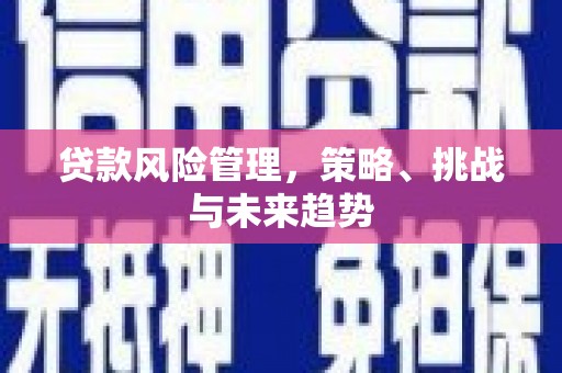 琼结贷款风险管理，策略、挑战与未来趋势