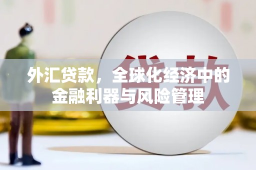 琼结外汇贷款，全球化经济中的金融利器与风险管理