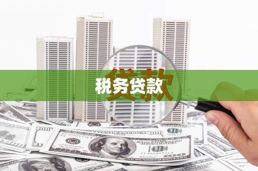 琼结税务贷款