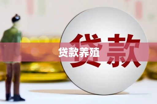 琼结贷款养殖