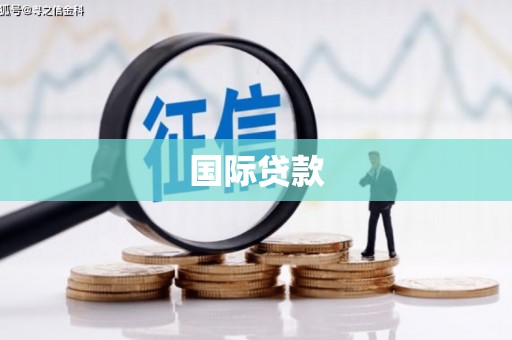 琼结国际贷款