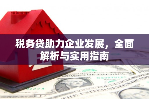 琼结税务贷助力企业发展，全面解析与实用指南