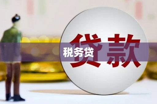 琼结税务贷