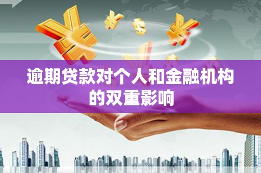 琼结逾期贷款对个人和金融机构的双重影响