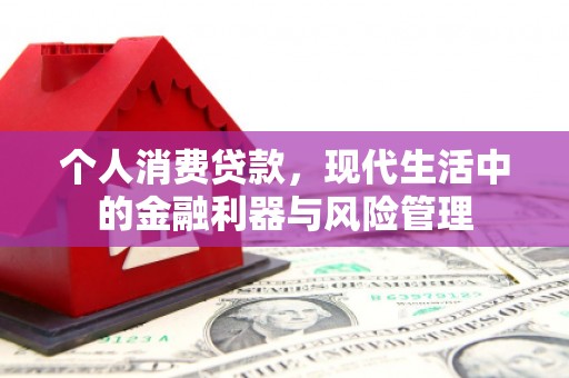 琼结个人消费贷款，现代生活中的金融利器与风险管理