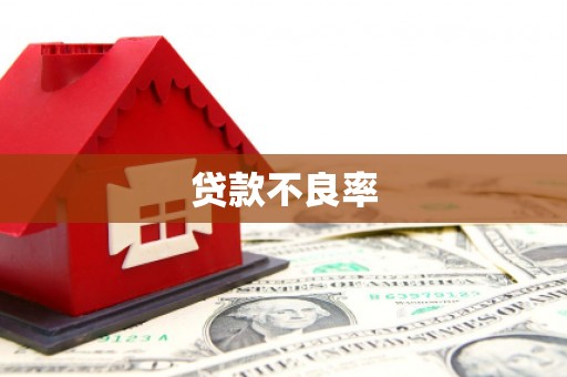 琼结贷款不良率