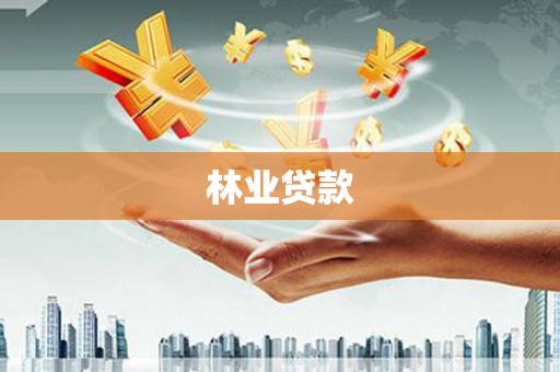 琼结林业贷款