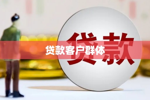 琼结贷款客户群体