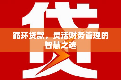 琼结循环贷款，灵活财务管理的智慧之选