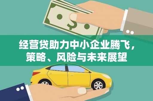 琼结经营贷助力中小企业腾飞，策略、风险与未来展望