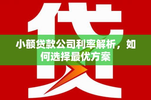 琼结小额贷款公司利率解析，如何选择最优方案