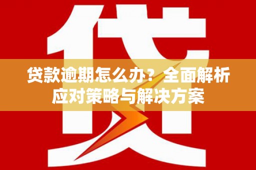琼结贷款逾期怎么办？全面解析应对策略与解决方案