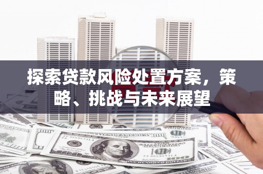 琼结探索贷款风险处置方案，策略、挑战与未来展望