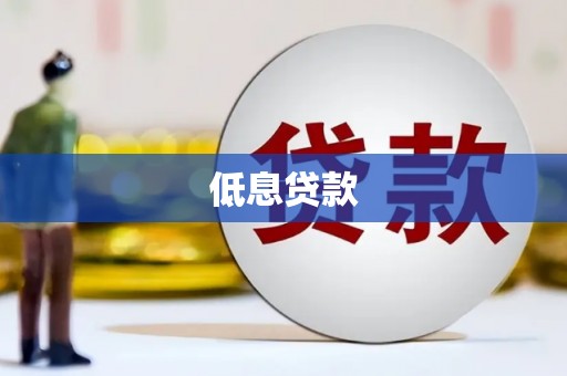 琼结低息贷款