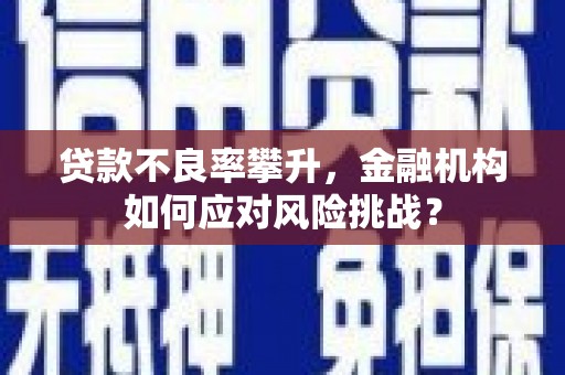 琼结贷款不良率攀升，金融机构如何应对风险挑战？