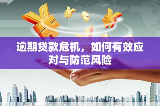 琼结逾期贷款危机，如何有效应对与防范风险