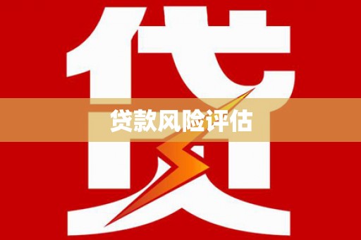 琼结贷款风险评估