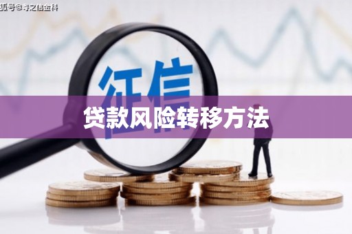 琼结贷款风险转移方法