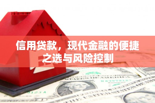 琼结信用贷款，现代金融的便捷之选与风险控制