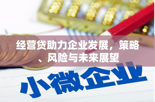 琼结经营贷助力企业发展，策略、风险与未来展望