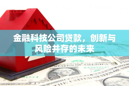 琼结金融科技公司贷款，创新与风险并存的未来