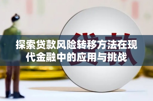琼结探索贷款风险转移方法在现代金融中的应用与挑战