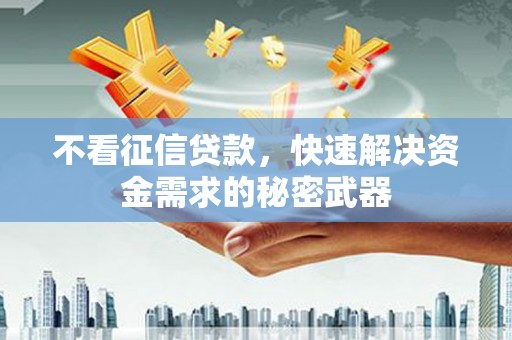 琼结不看征信贷款，快速解决资金需求的秘密武器