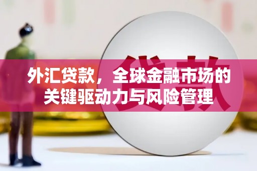 琼结外汇贷款，全球金融市场的关键驱动力与风险管理