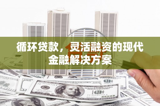 琼结循环贷款，灵活融资的现代金融解决方案