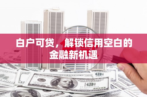 琼结白户可贷，解锁信用空白的金融新机遇