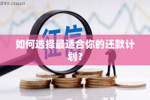 琼结如何选择最适合你的还款计划？